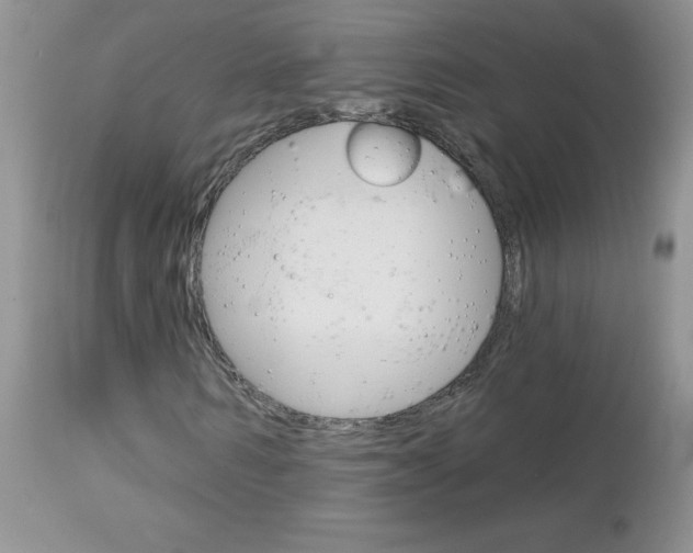 X0000113120962200908281038