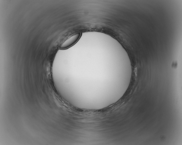 X0000113120963200908281038