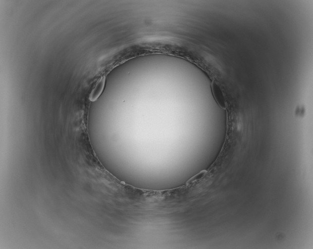X0000113120965200908281038