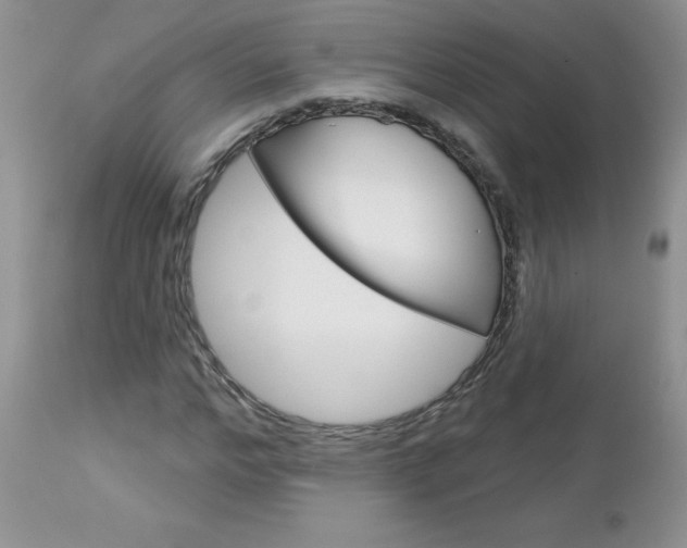 X0000113120968200908281038