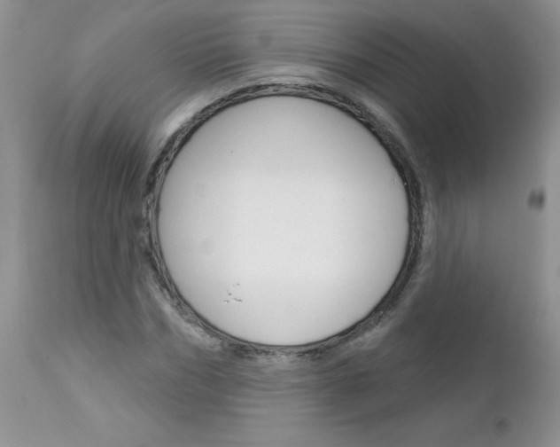 X0000113120970200908281038