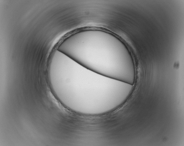 X0000113120972200908281038