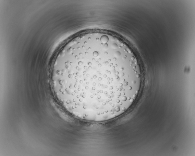 X0000113120974200908281038