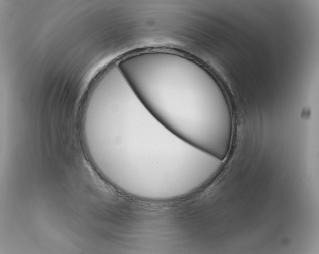 X0000113120975200908281038