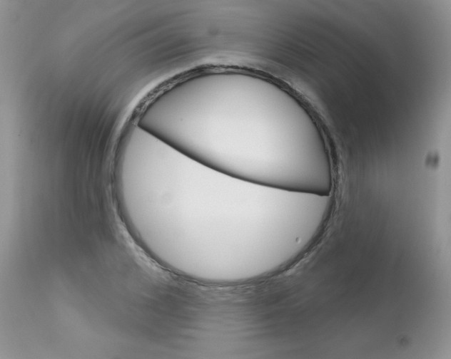 X0000113120976200908281038