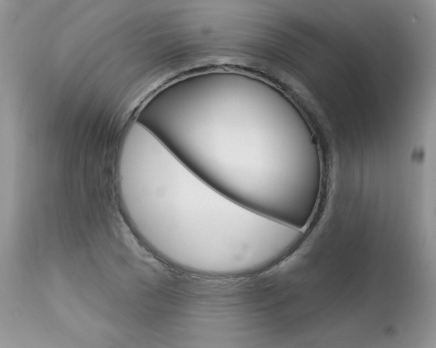 X0000113120977200908281038