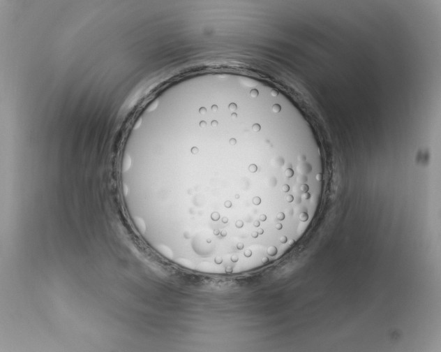 X0000113120978200908281038