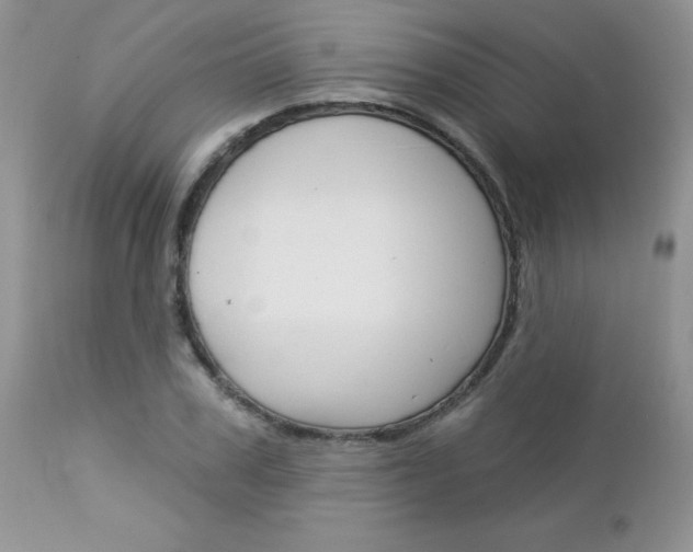 X0000113120979200908281038