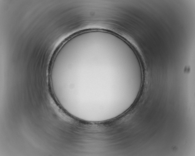 X0000113120980200908281038