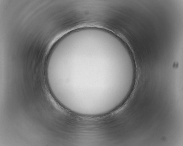 X0000113120981200908281038