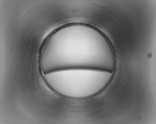 X0000113120983200908281038
