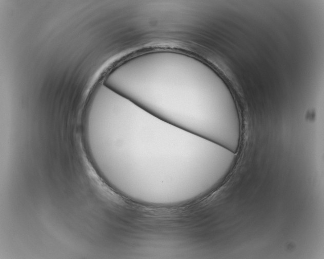 X0000113120984200908281038