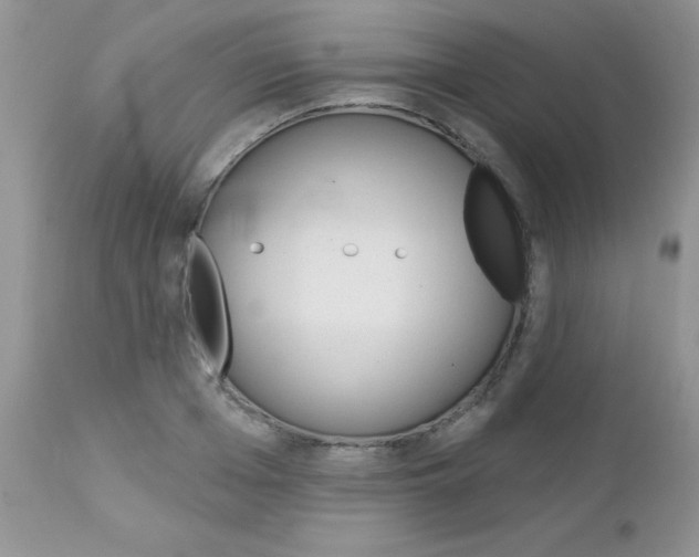 X0000113120985200908281038