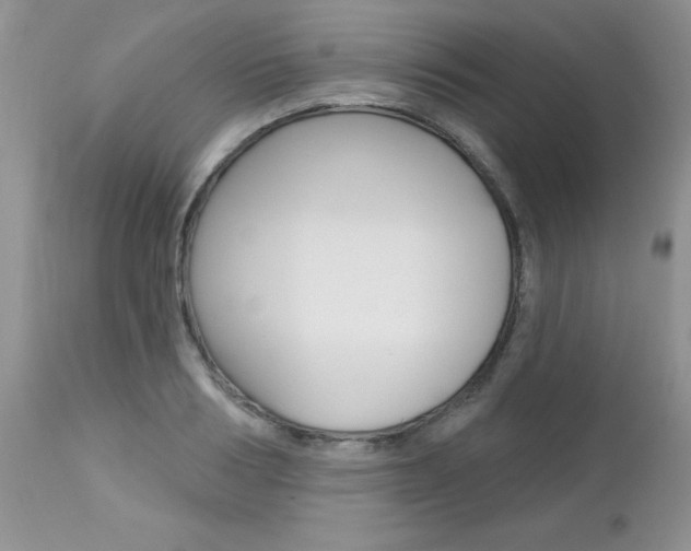 X0000113120986200908281038