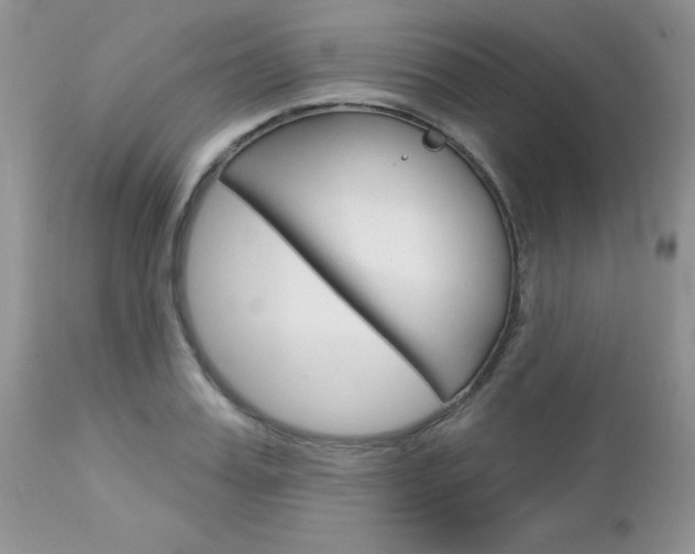 X0000113120987200908281038