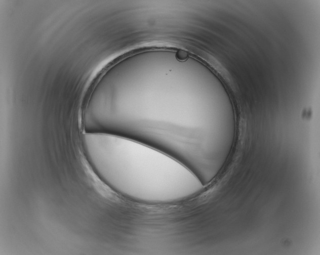 X0000113120988200908281038