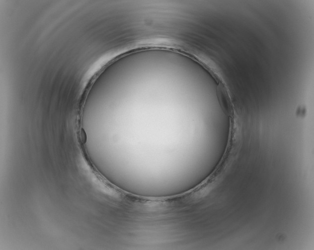 X0000113120989200908281038