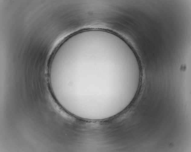 X0000113120990200908281038