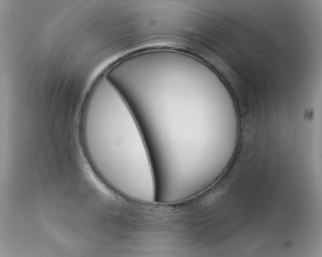 X0000113120991200908281038