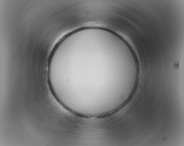 X0000113120992200908281038