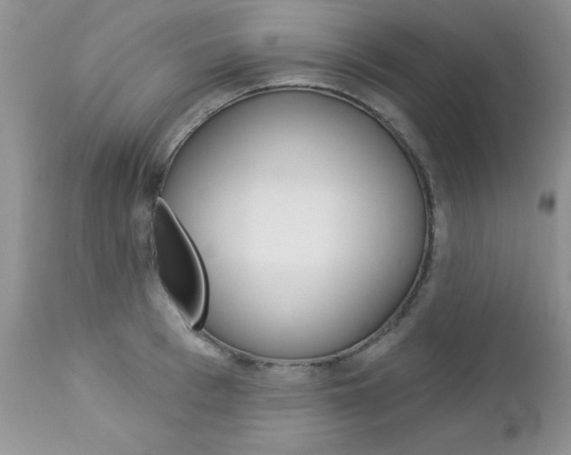 X0000113120993200908281038