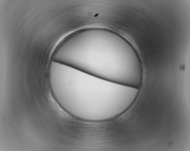 X0000113120996200908281038