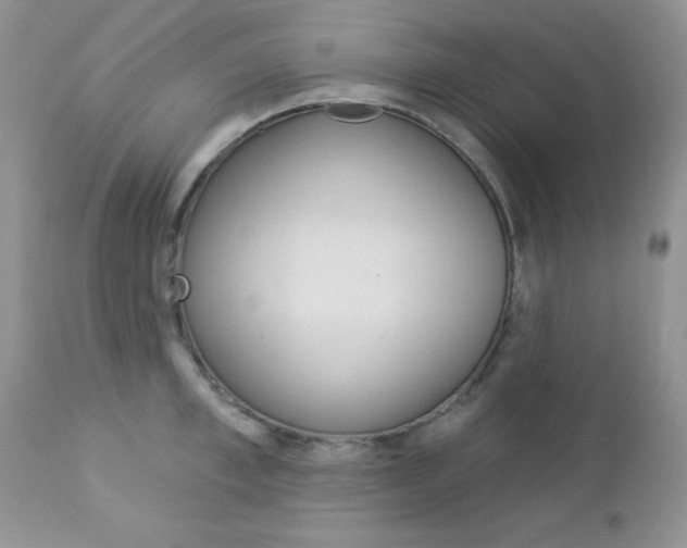 X0000113120997200908281038