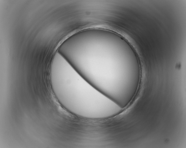 X0000113121001200908281038
