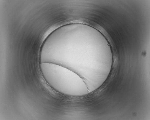 X0000113121002200908281038