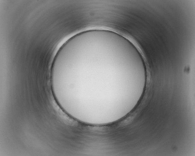 X0000113121004200908281038