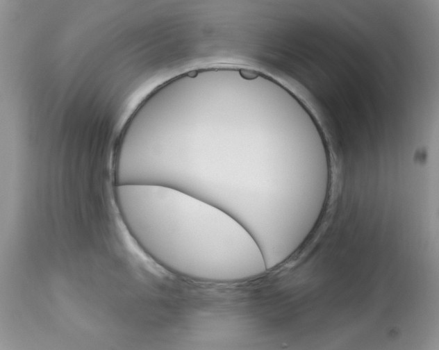 X0000113121006200908281038