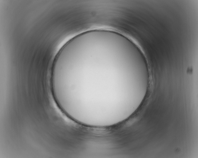 X0000113121007200908281038