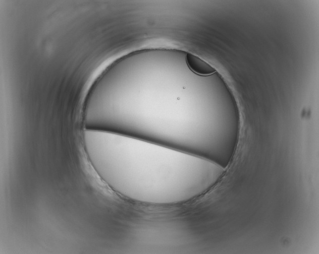 X0000113121008200908281038