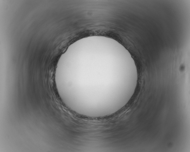 X0000113121010200908281037