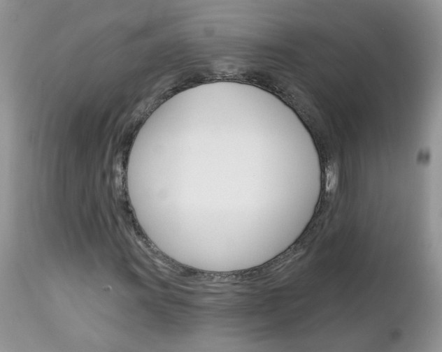 X0000113121011200908281037