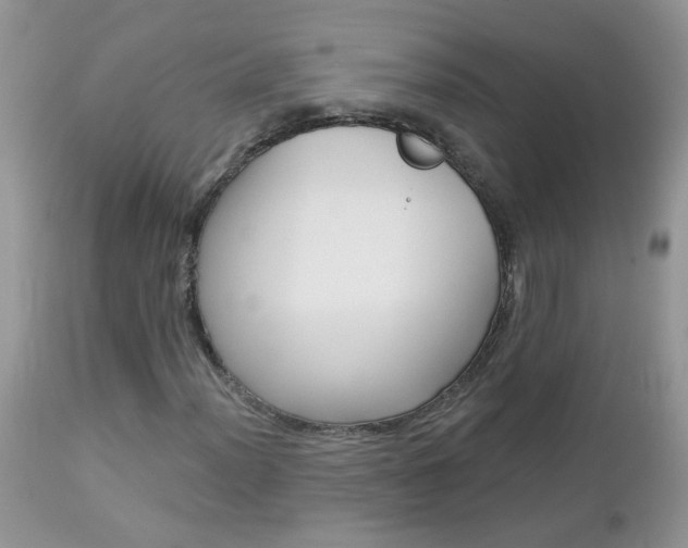 X0000113121012200908281037