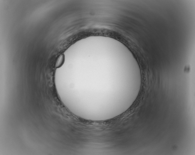 X0000113121013200908281037