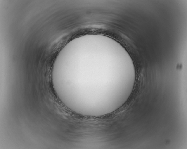 X0000113121014200908281037