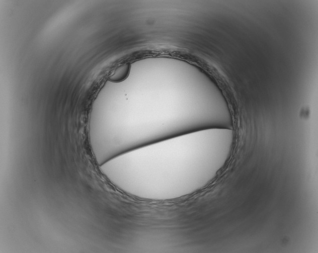 X0000113121016200908281037
