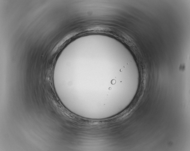 X0000113121017200908281037