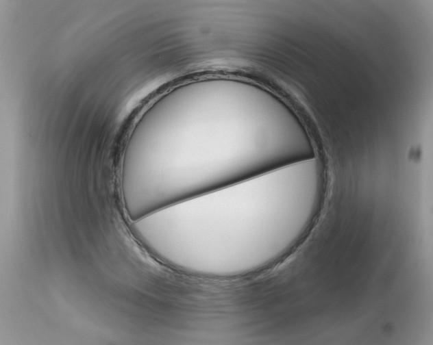 X0000113121018200908281037