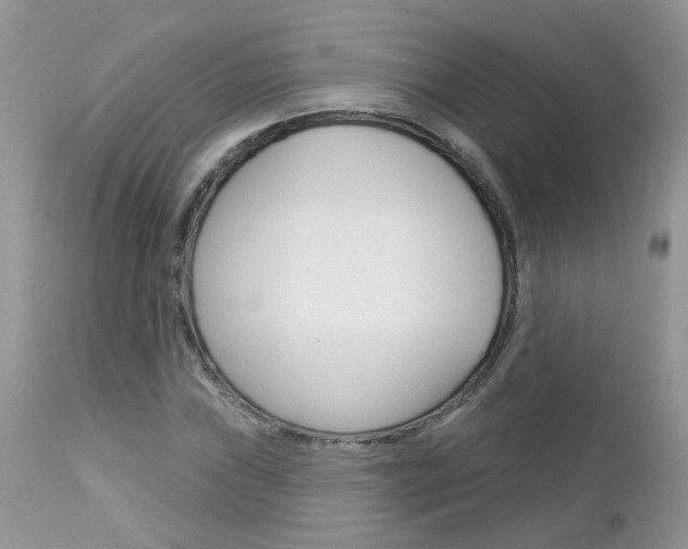 X0000113121019200908281037
