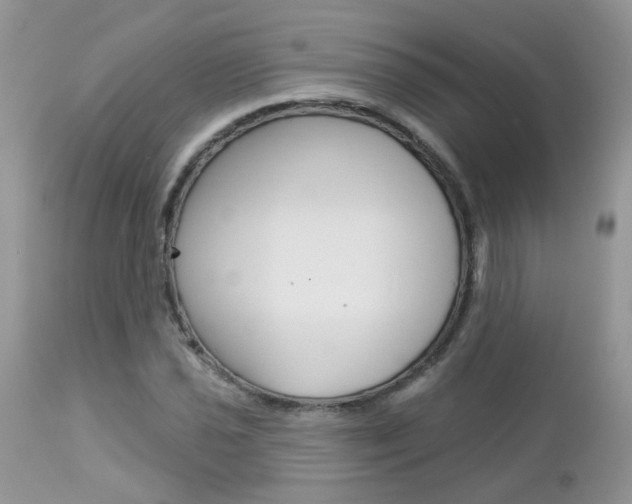 X0000113121021200908281037