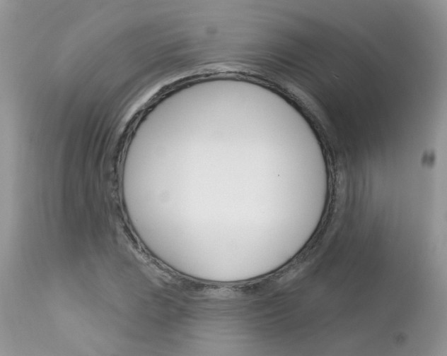 X0000113121023200908281037