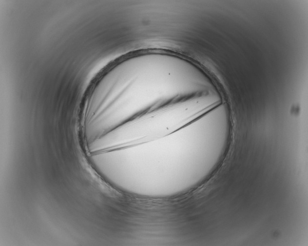 X0000113121024200908281037