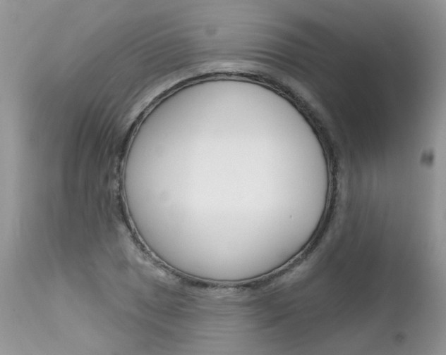 X0000113121025200908281037