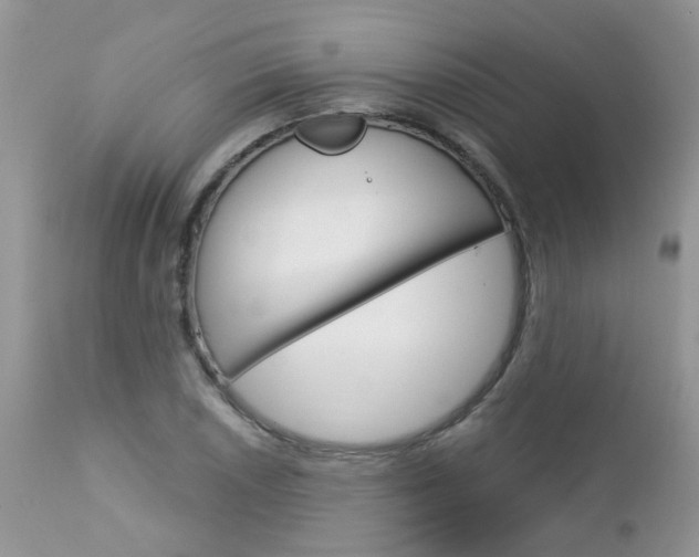 X0000113121026200908281037