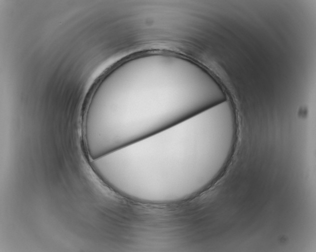 X0000113121028200908281037