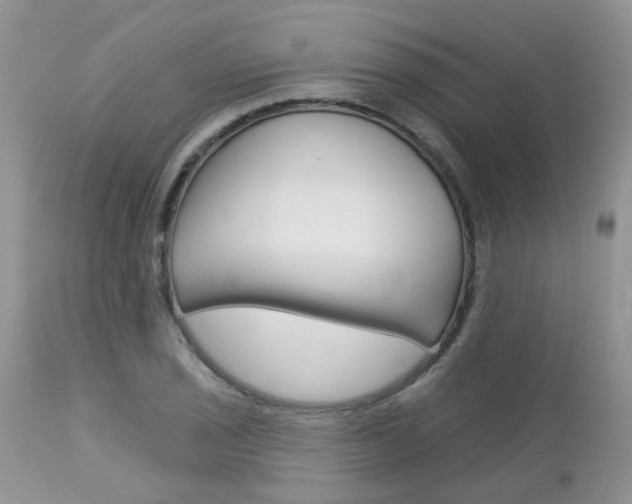 X0000113121029200908281037