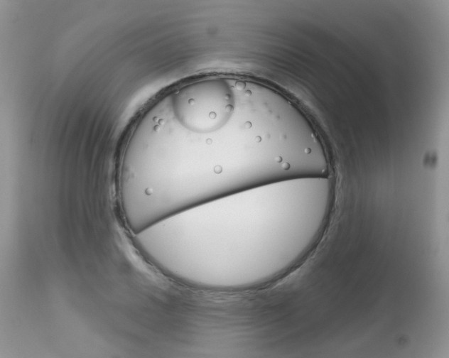 X0000113121030200908281037